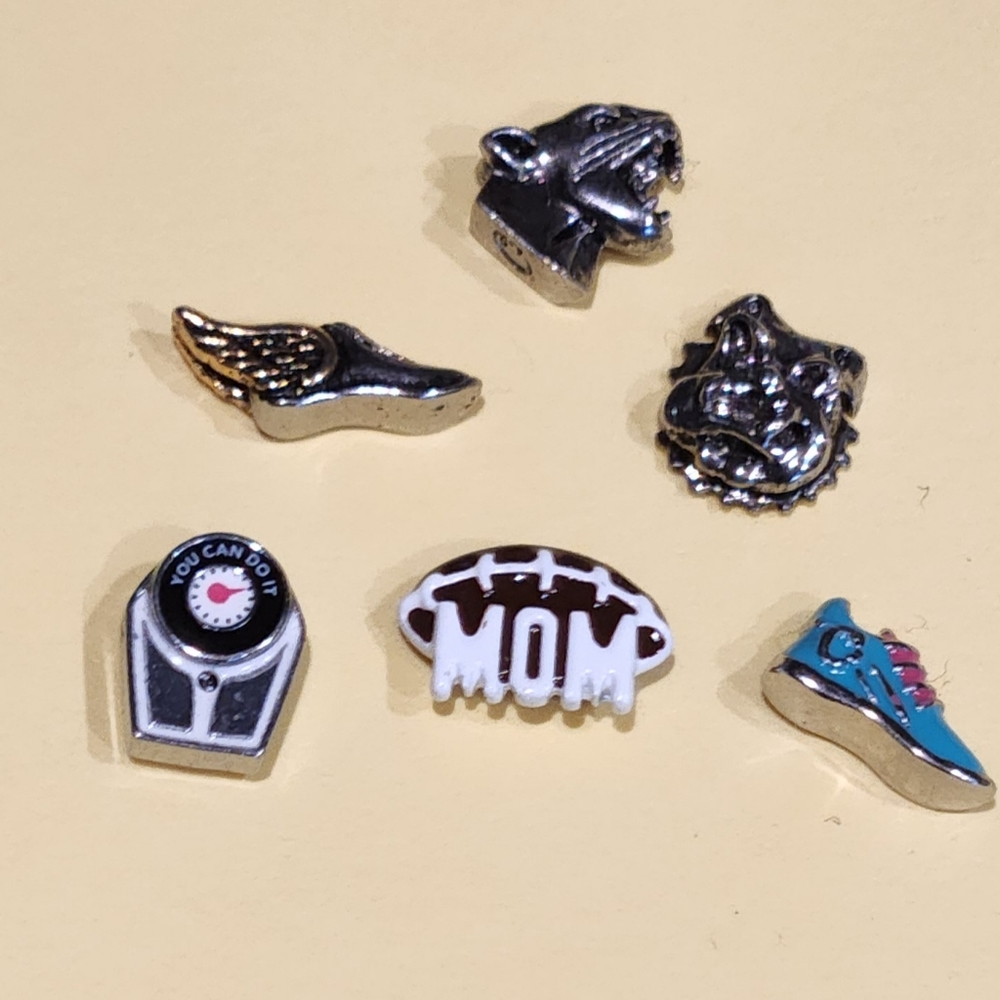 Origami Owl Charm Lot - NEW